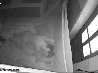 Tập thể dục buổi sáng cùng con vợ dâm đãng